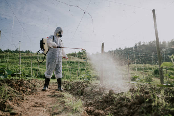 Best Commercial Pest Control Services  in Whitehouse, TX